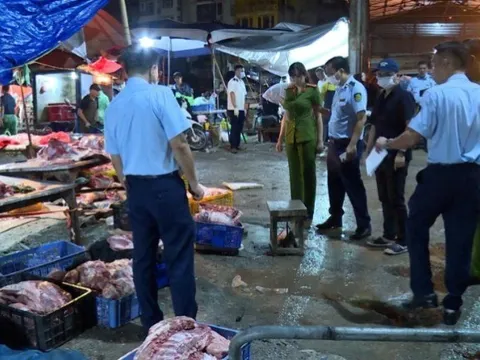 Công an Hà Nội triệt phá đường dây giết mổ tiêu thụ thịt bệnh ra thị trường