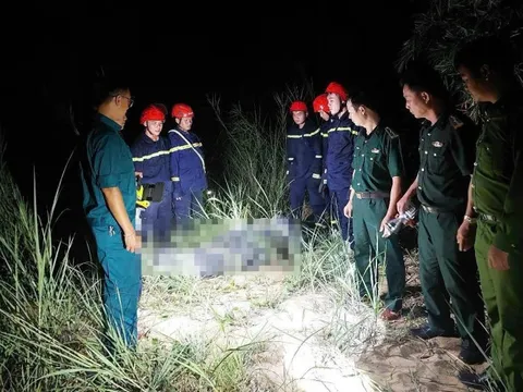 Đà Nẵng thông tin chính thức vụ du khách tử vong vì rơi dù lượn