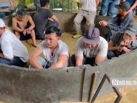 Quảng Ngãi:Triệt xóa điểm cá độ đá gà quy mô lớn trong quán cà phê