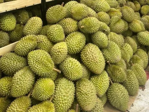 Lấy lại giá trị nông sản: Bài học từ 'câu chuyện' sầu riêng