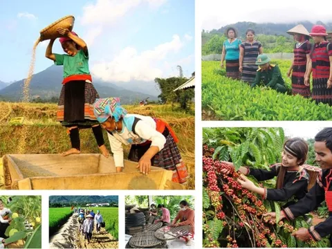Thực hiện các chương trình mục tiêu quốc gia đồng bộ với mô hình chính quyền địa phương hai cấp