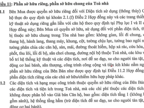 Sự thật về tranh chấp hầm xe tại tòa nhà tại chung cư ở Hà Nội