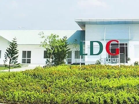 Bất chấp nằm trong diện kiểm soát, cổ phiếu LDG vẫn tăng trần 11 phiên