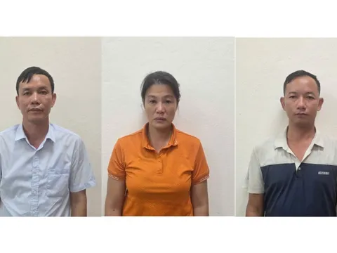 Khởi tố giám đốc công ty lâm nghiệp vi phạm khai thác rừng