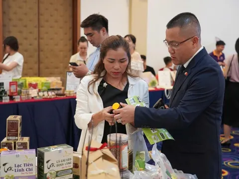 Kết nối doanh nghiệp Bắc Trung Bộ với thị trường quốc tế