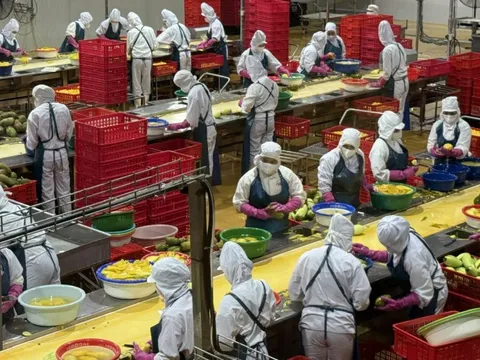 Tăng trưởng nông nghiệp: Kiên định mục tiêu, linh hoạt giải pháp