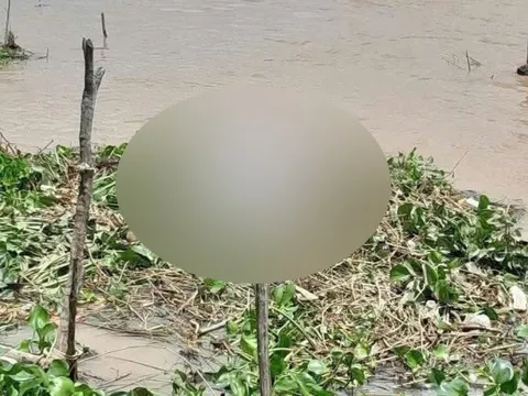 Truy tìm tung tích nạn nhân trôi sông, thi thể đang phân hủy