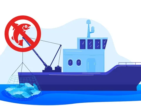 CSBVN với quy định IUU