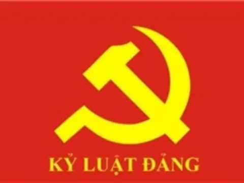 Bộ Chính trị, Ban Bí thư xem xét, thi hành kỷ luật đảng viên vi phạm