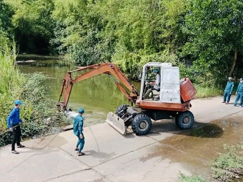 Gia Lai: Thu gom lượng lớn xác heo chết trôi nổi trên các kênh mương thủy lợi