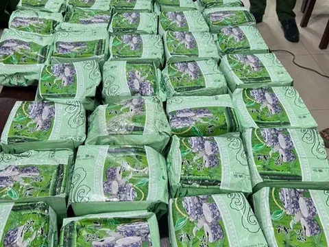 Phá đường dây mua bán 60 bánh heroin và 37kg ma tuý đá