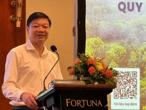 Bước tiến mới trong hoàn thiện thể chế thị trường carbon