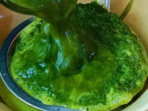 Ăn 1 mớ rau này tốt ngang thịt bò, ở quê có nhiều bỏ qua quá phí