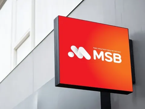 MSB công bố khung tài chính bền vững, khẳng định cam kết thúc đẩy tương lai xanh của Việt Nam