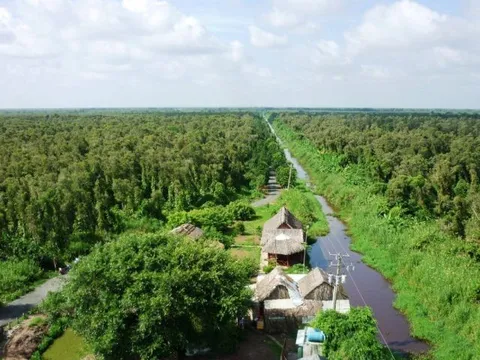 Bàn giải pháp vận hành thử nghiệm thị trường carbon tại Việt Nam