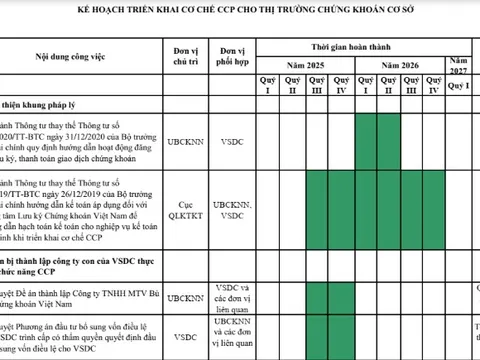 Chính thức công bố Kế hoạch triển khai Cơ chế đối tác bù trừ trung tâm