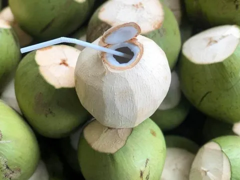 Dừa tươi Việt Nam: Từ đặc sản địa phương đến ngành hàng tỷ USD