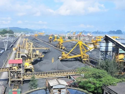 Coalimex làm ăn ra sao khi nhập hàng triệu tấn than mỗi năm?