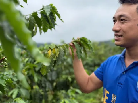 Cà phê Việt Nam hướng tới phân khúc cao cấp