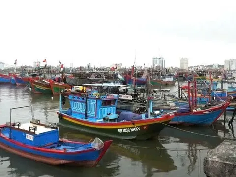 Quảng Trị cứu 7 ngư dân bị chìm tàu, chủ động ứng phó cơn bão số 3