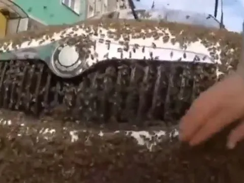 Đang đi đường, nhóm người bắt gặp sự việc đáng sợ