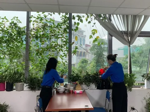 Tuổi trẻ Hội Luật gia Việt Nam hưởng ứng "Ngày Chủ nhật xanh"