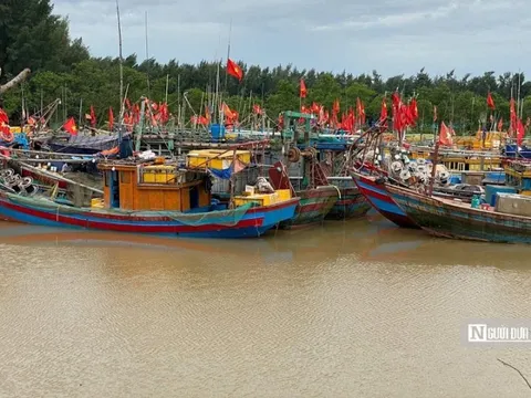 Quảng Ninh công bố 76 vị trí cho các tàu thuyền vào tránh trú bão