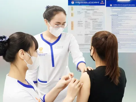 Sốt xuất huyết diễn biến phức tạp, chủng virus DEN-2 chiếm ưu thế