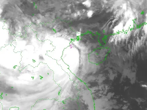 Bão số 3 WIPHA tiến sát đất liền Hải Phòng và Ninh Bình