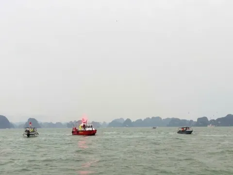 Đảm bảo an toàn cho khách du lịch, ứng phó kịp thời với bão số 3