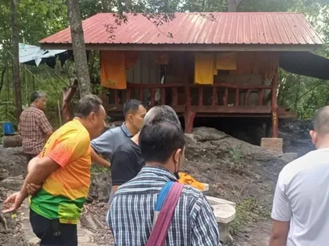 Đang đi dạo, cụ ông 75 tuổi bị con vật quen thuộc trong vườn đốt tử vong