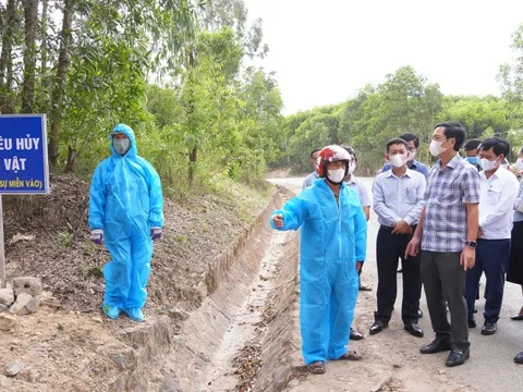 Dịch tả lợn châu Phi lan rộng, Quảng Trị khẩn trương phòng, chống