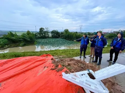 Khẩn trương xử lý các sự cố mặt đê Hữu Cầu, Hà Nội