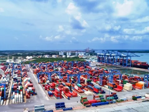Thành lập Hội đồng thẩm định chủ trương xây dựng Tổ hợp khu cảng Cái Mép Hạ hạ lưu, trung tâm logistics