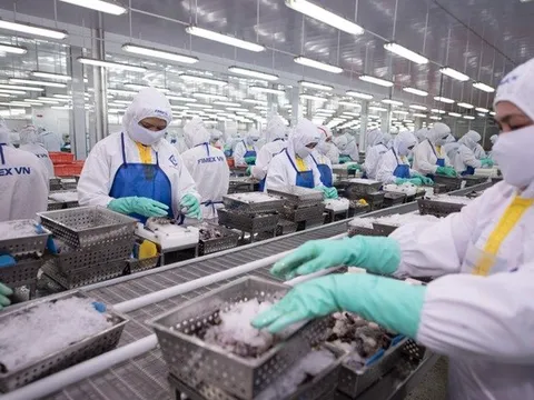 Lợi nhuận tăng trưởng, Tập đoàn PAN giảm đầu tư chứng chỉ tiền gửi