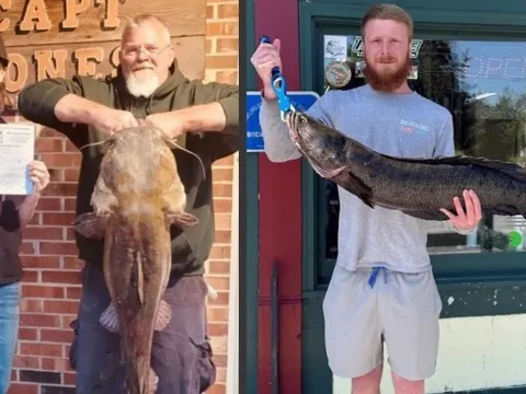 Ngư dân bắt được cá khổng lồ, chính quyền bất ngờ cảnh báo điều này