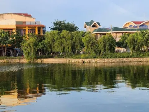 Diễn biến mới vụ cá chết nổi trắng hồ Nam Lý