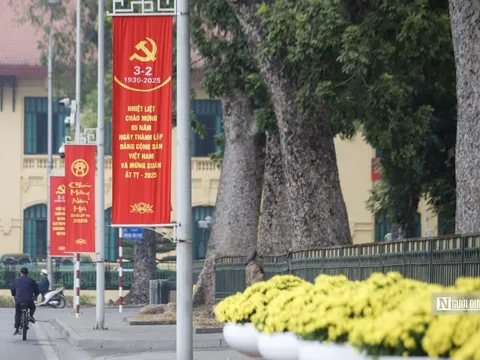 Hà Nội chặt hạ, di chuyển 27 cây xanh để thi công đường Hùng Vương, Độc Lập kéo dài
