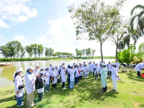 “Mở khóa tự nhiên”: Vinamilk biến rào cản thành vòng tuần hoàn xanh tại trang trại sinh thái