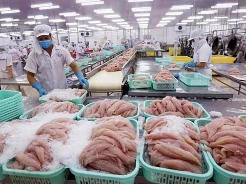 Việt Nam lần đầu tiên đứng trong Top 3 đối tác xuất khẩu thủy sản vào Singapore