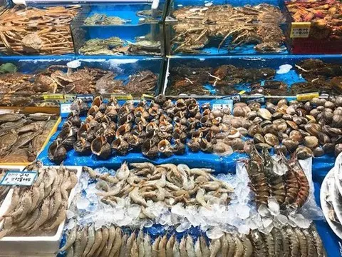 Ăn hải sản suốt 30 năm, đi khám, người đàn ông 64 tuổi sốc nặng trước thông báo của bác sĩ