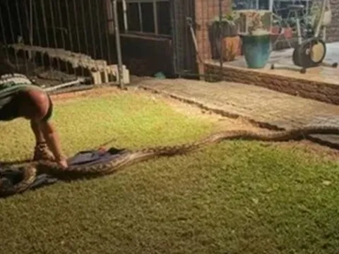Nhìn ra ngoài sân, người dân bắt gặp cảnh tượng đáng sợ