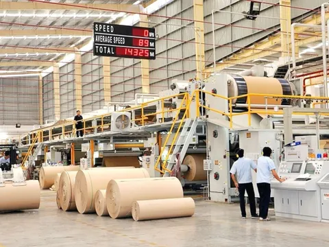 Đông Hải Bến Tre báo lãi tăng trưởng bất chấp doanh thu giảm
