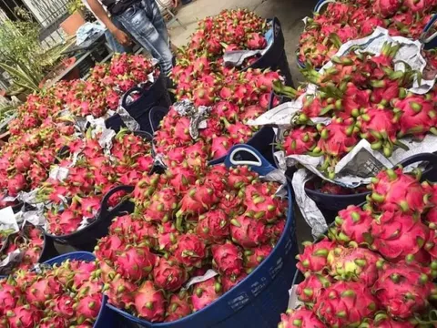 Cần minh bạch biện pháp SPS trong xuất khẩu thực phẩm