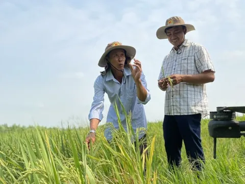 Xuất khẩu nông, lâm, thủy sản vượt kỳ vọng