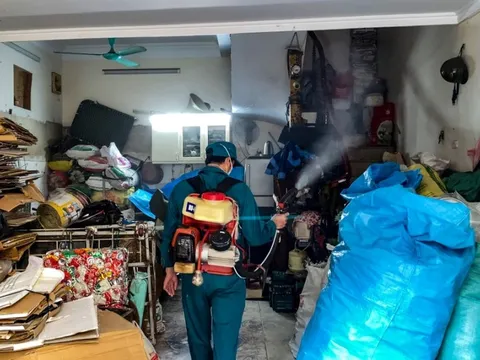 Hà Nội yêu cầu xã phường mở “chiến dịch” diệt lăng quăng phòng sốt xuất huyết