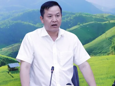 Phân cấp thủ tục ngành trồng trọt: Các vướng mắc và cách tháo gỡ