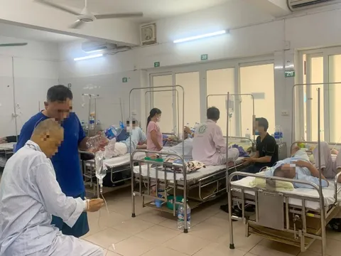 Hà Nội, TPHCM tăng cường phòng sốt xuất huyết