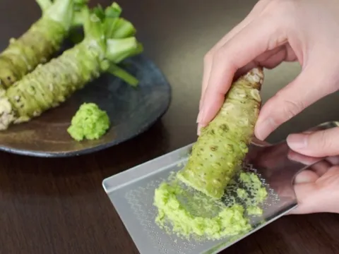 Loại củ đắt đỏ bậc nhất thế giới giá 6 triệu đồng/kg, Việt Nam cũng có người trồng