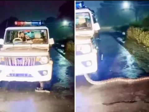 Nhìn xuống gầm xe, cảnh sát chứng kiến cảnh tượng đáng sợ